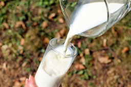 Зачем нужно сертифицировать молочную продукцию?