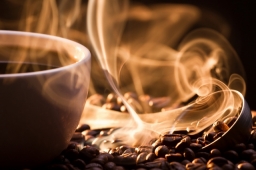 Вкуснейший кофе, приготовленный дома — это реальность: о правилах выбора кофеварки